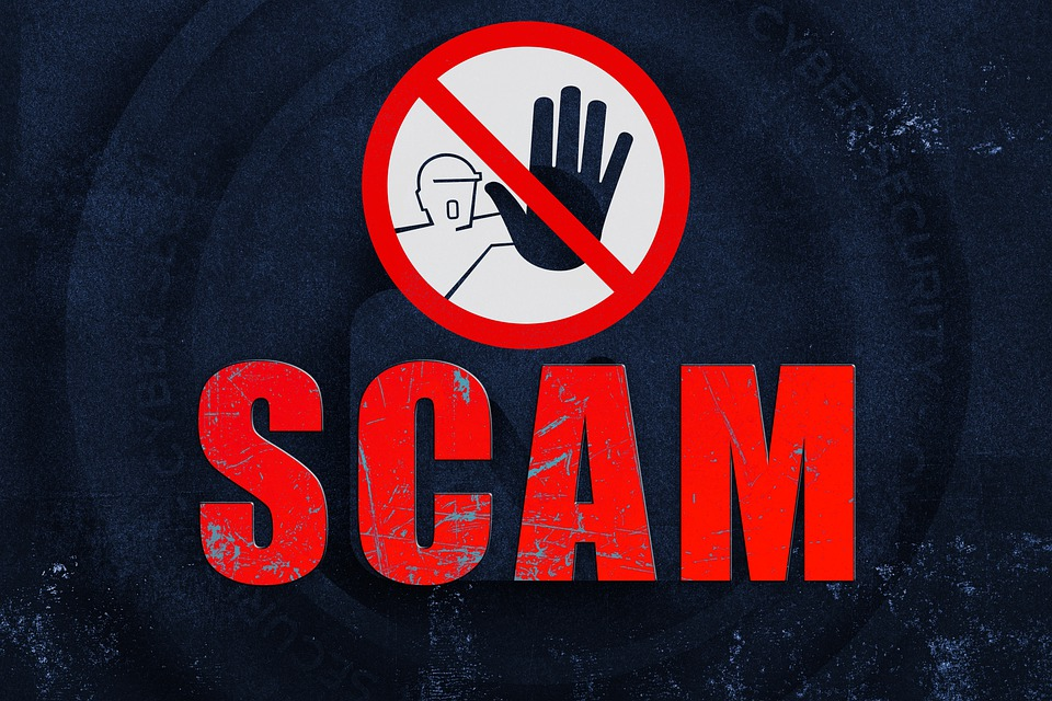 Different types of auto shipping scams